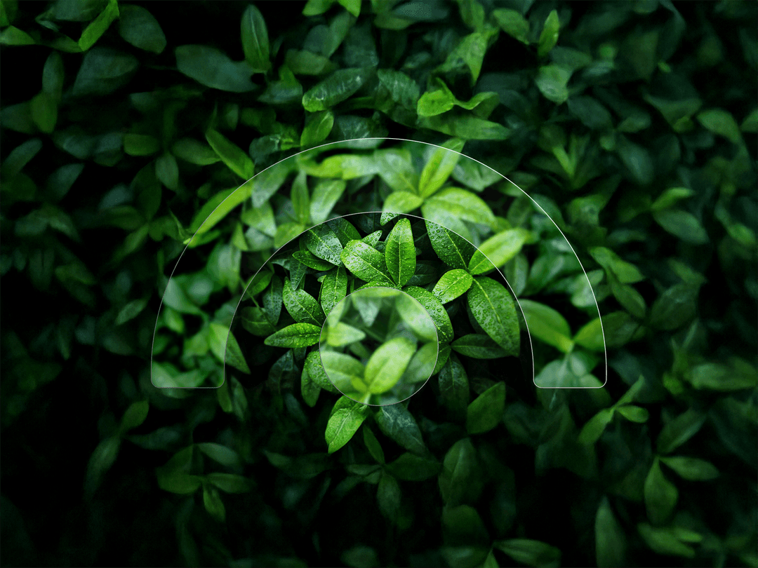 NUIN simi og blom-hringras_plontur-img